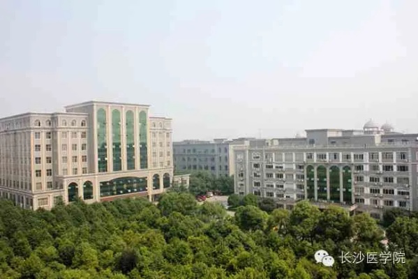 长沙医学院的影像学如何