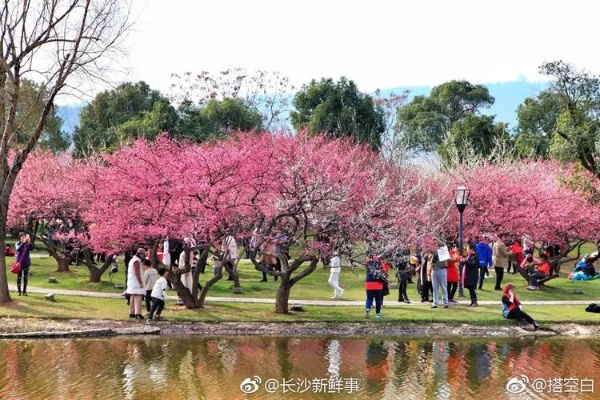 长沙看花有哪些公园