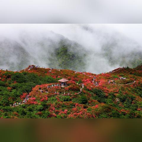 长沙银杏路饭店有哪些