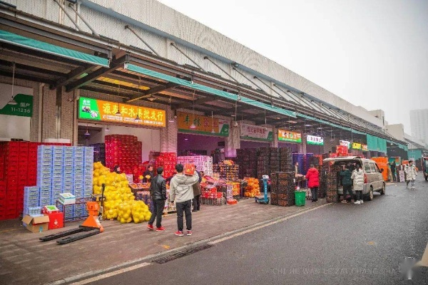 长沙水果市场的相关长尾关键词有哪些