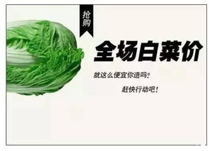 长沙白菜价超市有哪些