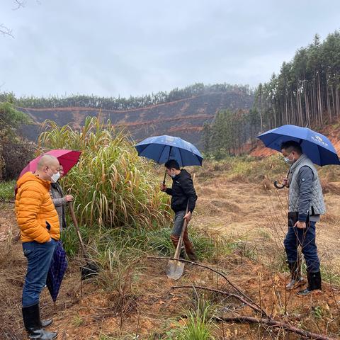 长沙原耕地公司有哪些