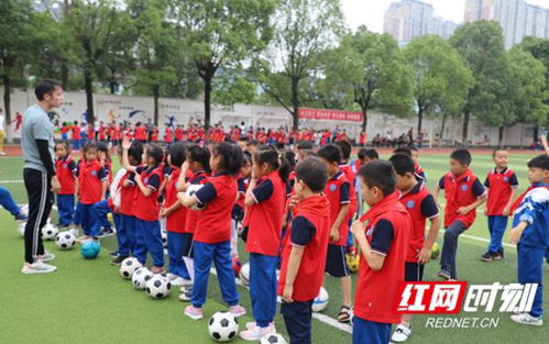 长沙雨花实验小学的相关长尾关键词有哪些