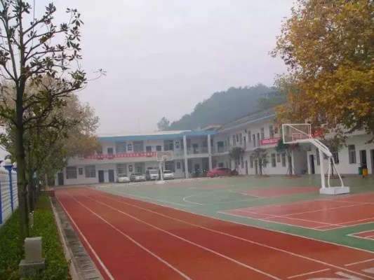 长沙莲花镇小学有哪些校区