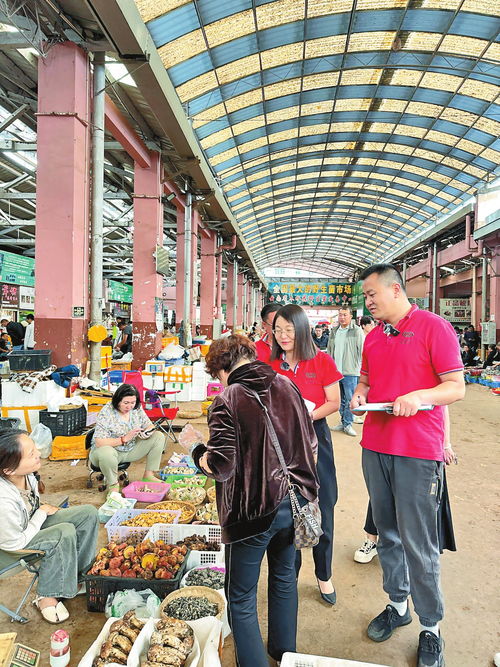 长沙野生菌 市场有哪些