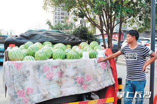 长沙西瓜市场如何进入的